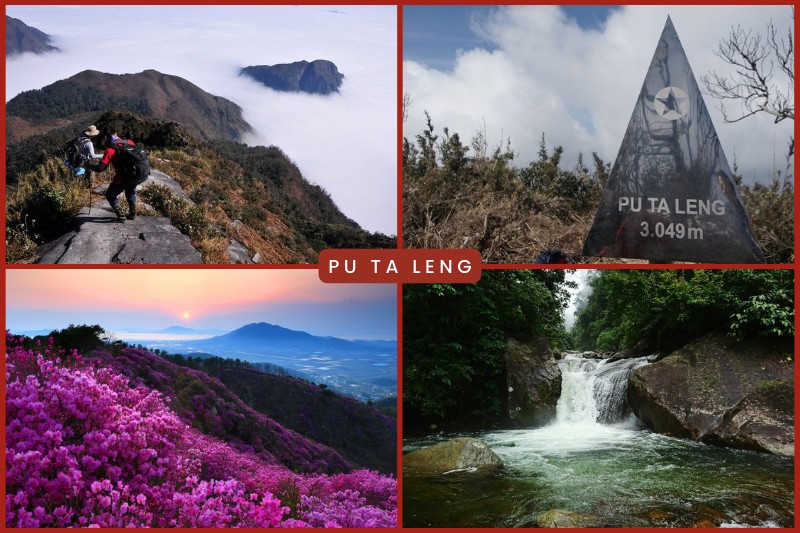 Pu Ta Leng - Rare primeval forest in Vietnam